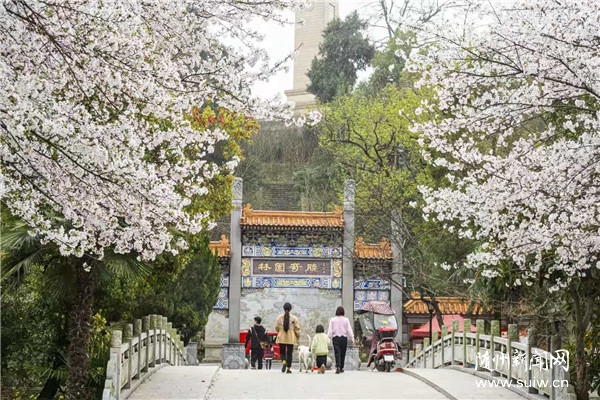 ����̎�p�ѻ�