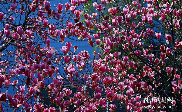 �S�ݣ����m���_��퍝�