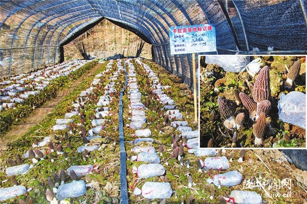 ҫ�d�󺣷Nֲ���أ���Ǿ�ϲ�@�S��