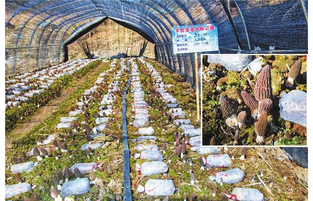 ҫ�d�󺣷Nֲ���أ���Ǿ�ϲ�@�S��