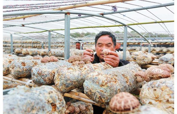 ���ӵ��:�l(f��)չ�㹽�Nֲ ���ӽ�(j��ng)������