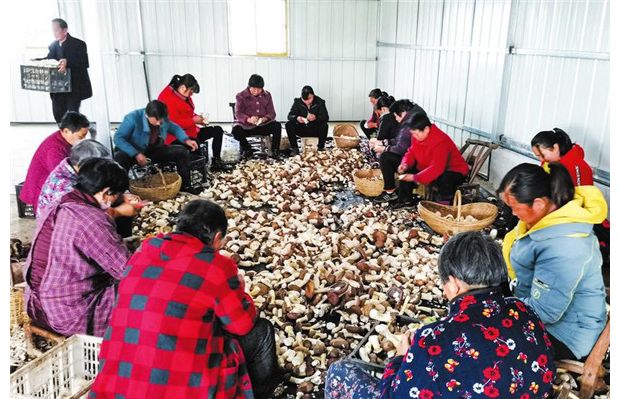 Óؚ���c�������a(ch��n)����