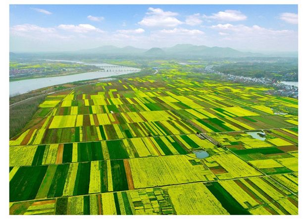 �S�ݣ����������һ��ȥ�����������硱