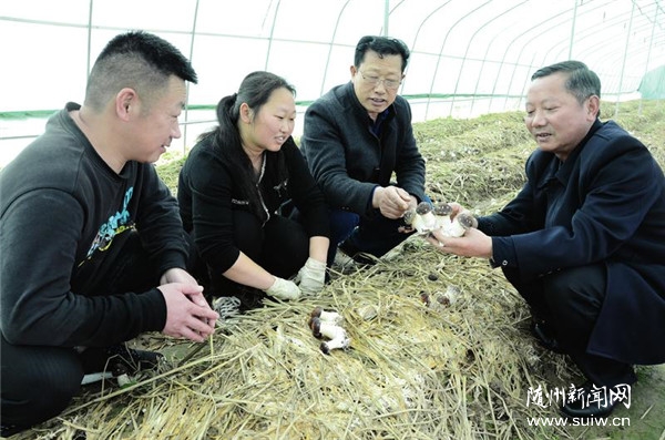 ����ָ����ժ�Ƽt��