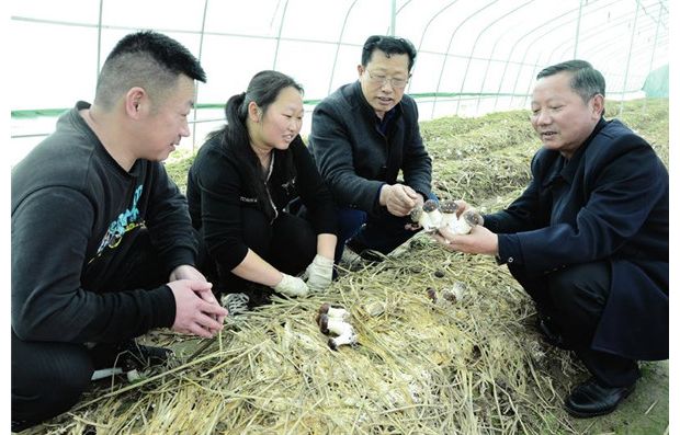 ����ָ����ժ�Ƽt��