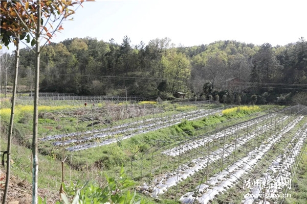 ����(zh��n)�ſ��ߴ��l(xi��ng)�����������d