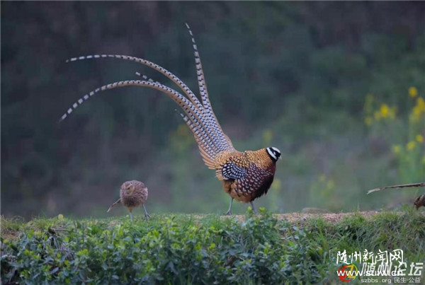 ����ʡ����ʮ�ł������B�ܡ������o�B������f����C�������҈@