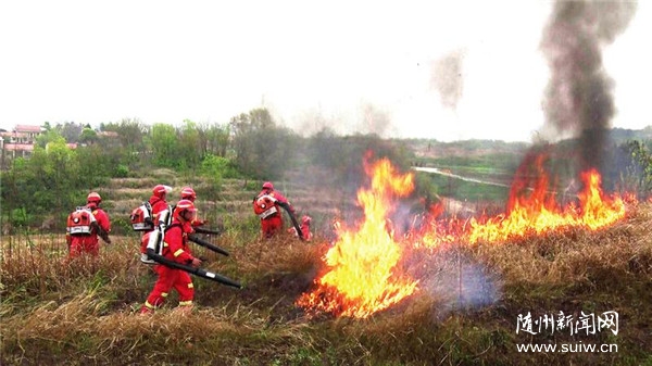 ɭ�ַ���(y��ng)���ݾ�