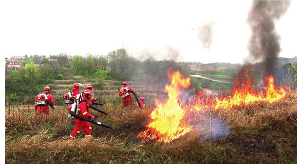 ɭ�ַ��𑪼��ݾ�