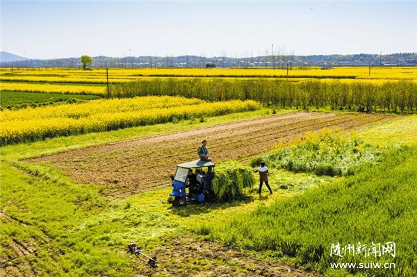 ����æ����