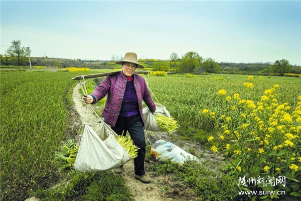 ���r(n��ng)������޷