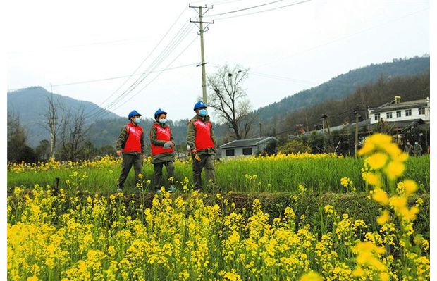 ���һ��Ѳ��æ