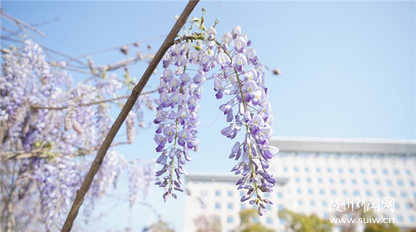 �S�h�p���؈D �� ���ٻ��_