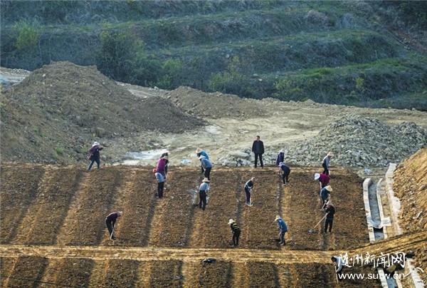 �紲��������