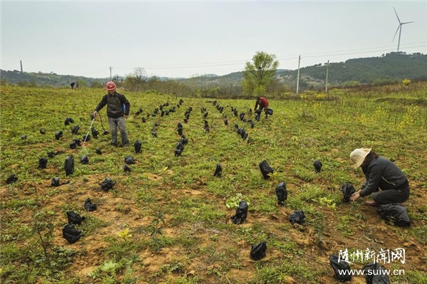 �a(ch��n)�I(y��)�d���w��(qi��ng)