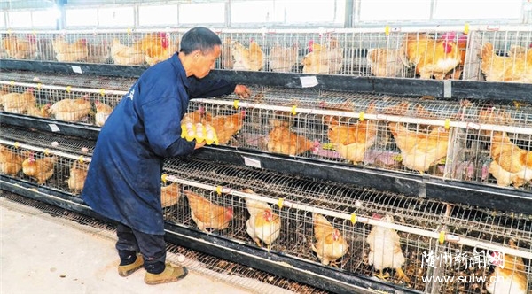 �B(y��ng)ֳ���u�߸�·