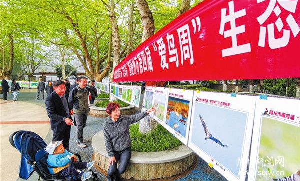 ����(��i)�B(ni��o)�ܡ����B(t��i)�zӰչ