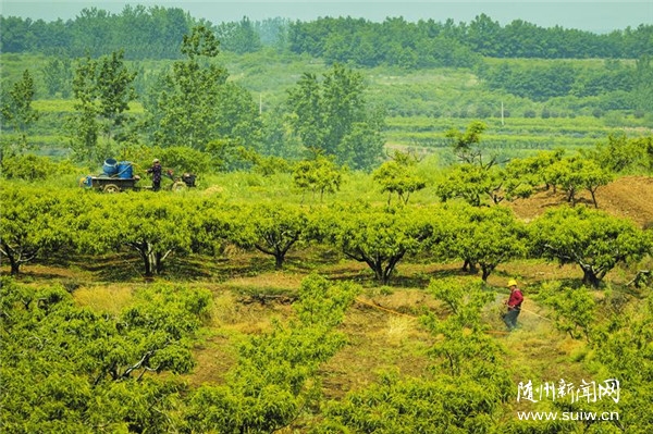 ���@����æ