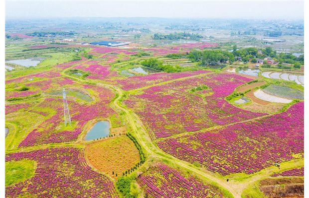 ��ˎ��ӳ�t��߅��