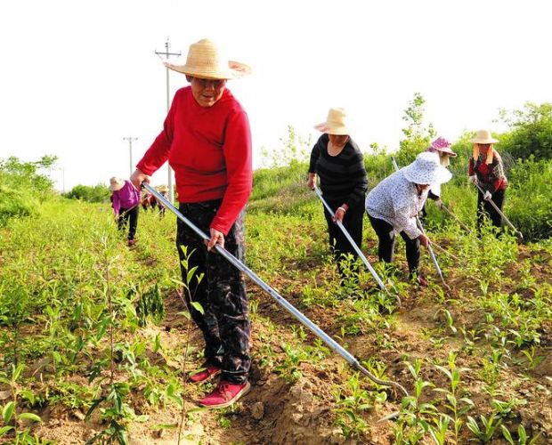 ������^(q��)������T�ڴ�