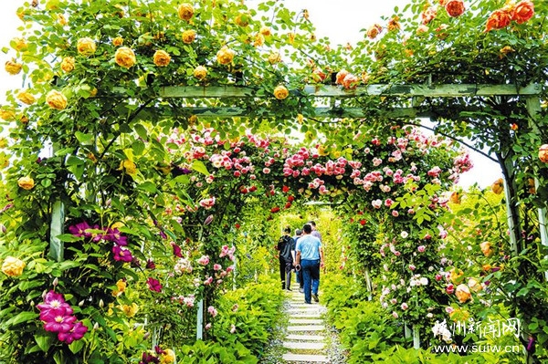 �ο�õ��@�����[�p��