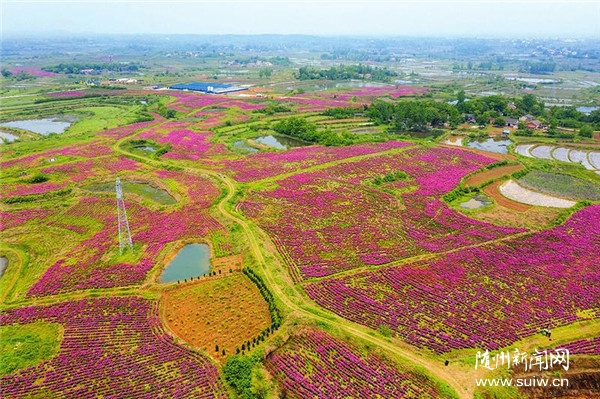 ����(zh��n)������:��ˎ���_�t�G�G