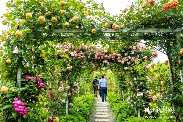 �S�����鹫�@õ����ā����