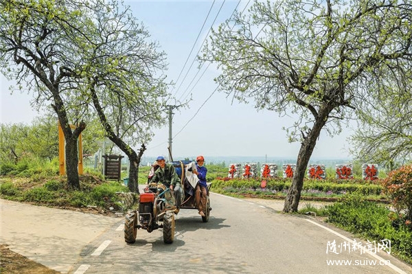 �����l(xi��ng)���A��ɽ