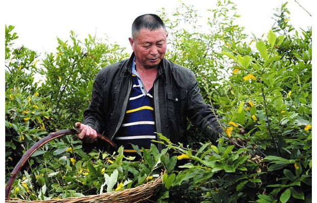 ���Q�a�I(y��)�����߸�·