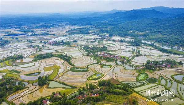 �S���������箋