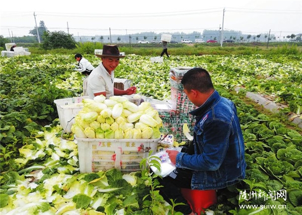 ̫ƽ�(zh��n)���޲�ϲ�@�S��