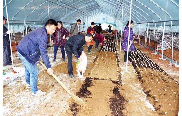 �Ͷ��p����