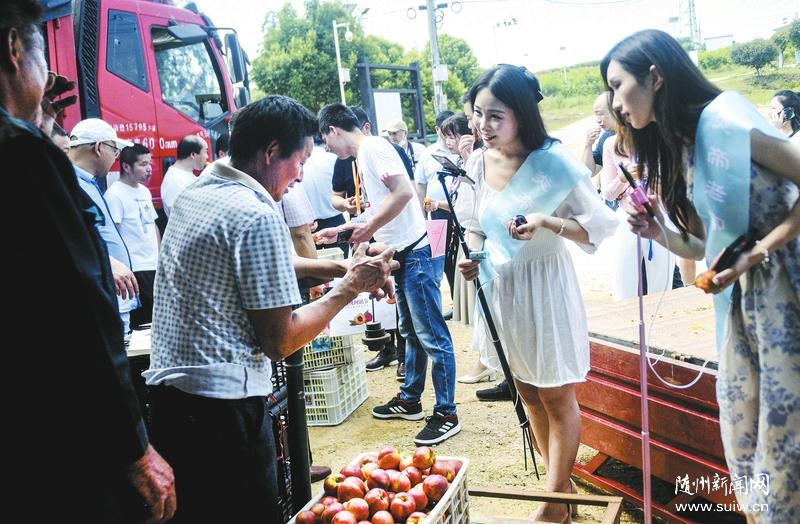 �S�h���ҾW(w��ng)�N��(ji��)