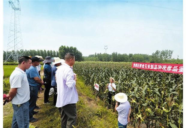 ������Ʒ�N�^ĦƷ�b