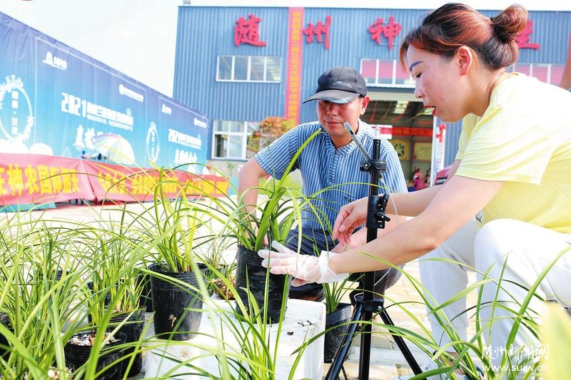 ���Ҟ�Ⱥ���k��(sh��)�¡�