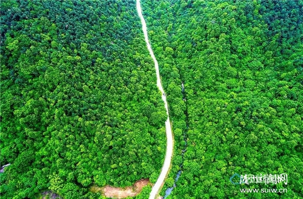 �S��2�Ҿ��^(q��)ͨ�^����4A�����ξ��^(q��)���^�|(zh��)���u��