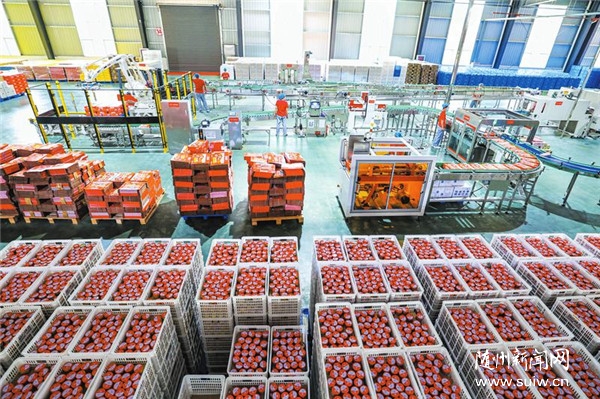 �����M��I(y��)�����c��ƷԴ�Ŵ�Ʒ��Ч��(y��ng)������չ���ɂ��Ј���