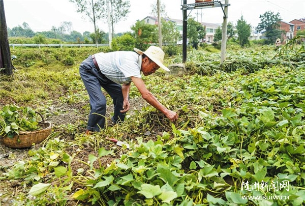 ����(z��i)�Ծ� �ؽ��҈@