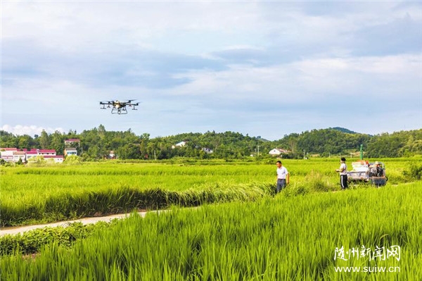 ���Ξĺ��x��