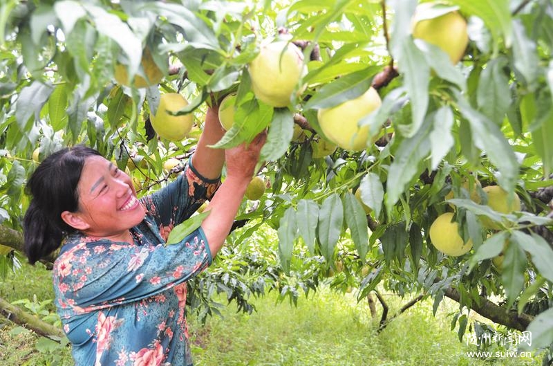 �S�h����������l(f��)չ�ֹ��a�I(y��)