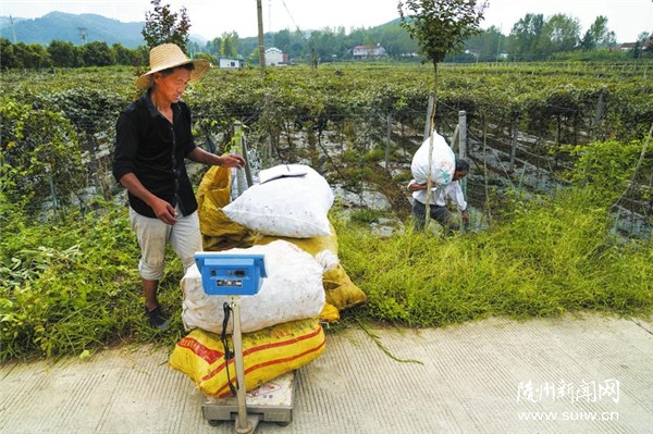 ���¹�ϲ�S��