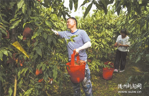 �����S��