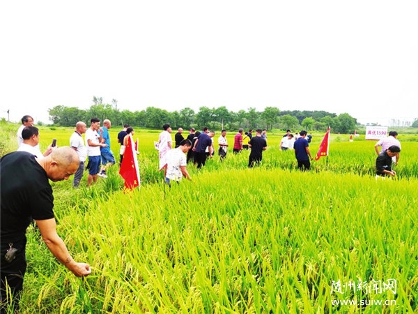 ����ˮ���N�ܽ��