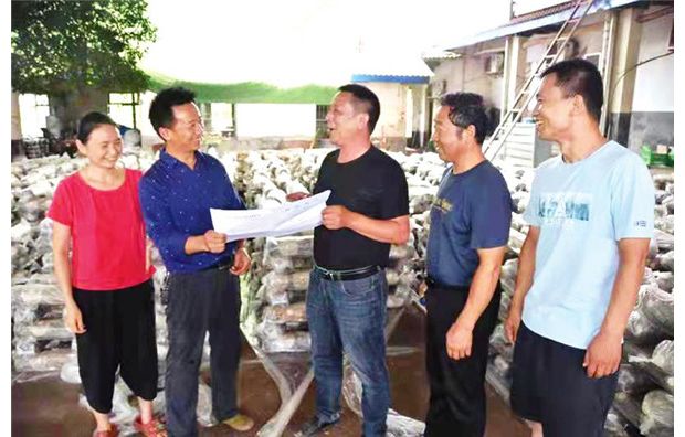 �;��N�|(zh��)���ϸ�z�(y��n)��(b��o)��