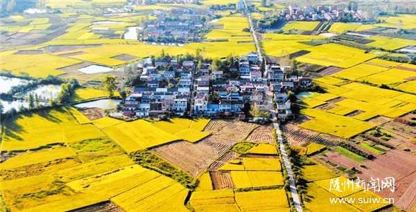 ��ɫ�������箋(hu��)