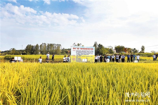 ���^���S���㵾����Ʒ�Nԇ�N�Y�xչʾ����