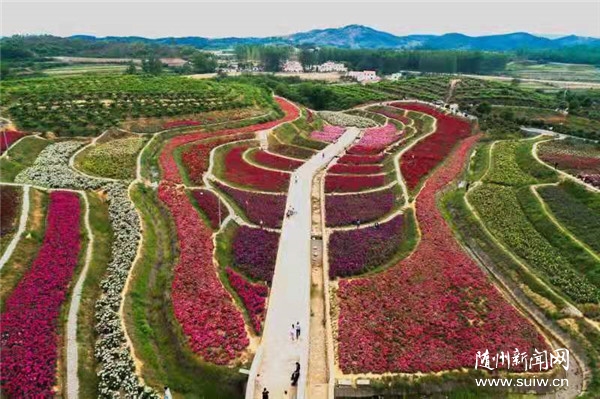 ���`�к��ăr(ji��)ֵ�^�����������d�帻���I(l��ng)�^�㡱