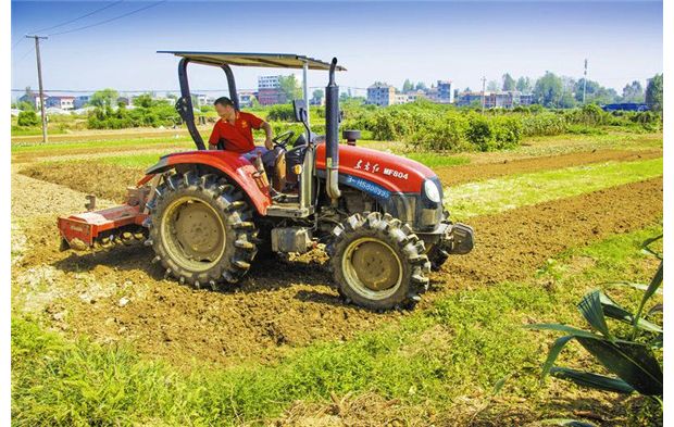 �������طNֲ������