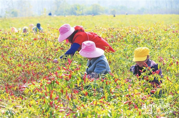 ��t�����c�S��