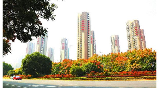 �S����ɫ�뮋��